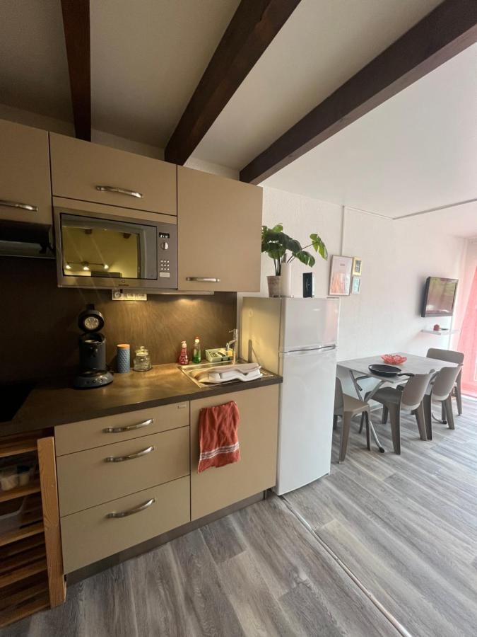 Appartement Argeles-Sur-Mer Avec Piscine A 500M De La Mer מראה חיצוני תמונה