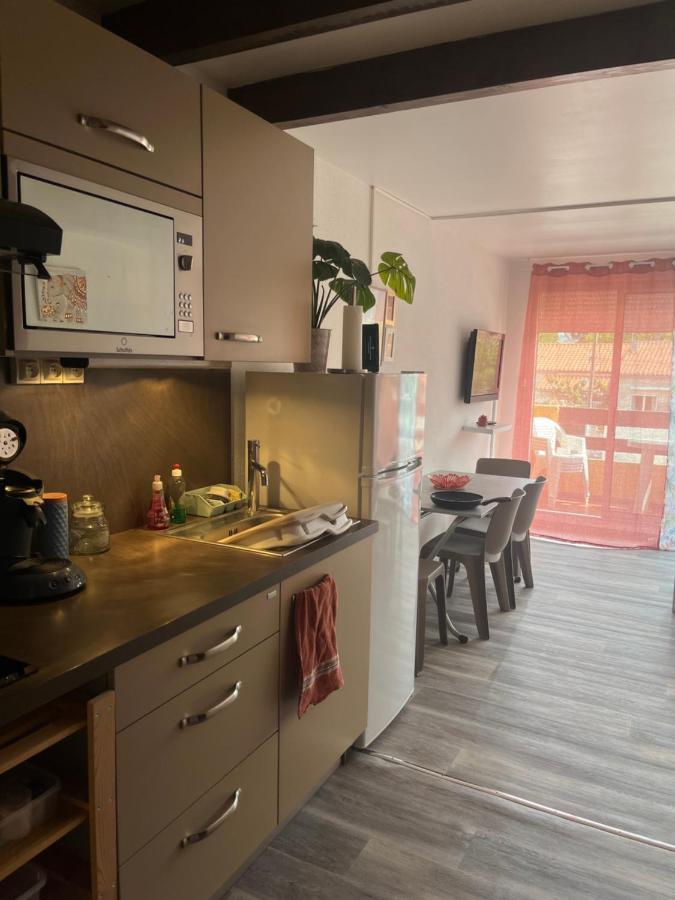 Appartement Argeles-Sur-Mer Avec Piscine A 500M De La Mer מראה חיצוני תמונה